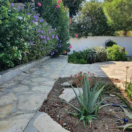 Ageraki 公寓 利普西島